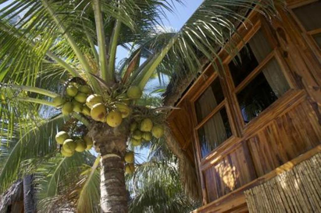 Hotel Tortuga Village San Luis La Herradura Exterior photo